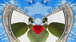 Картины Розы на Снегу в Ледяной Галерее 5 от Киностудии Мудрого Кота Тимофея!