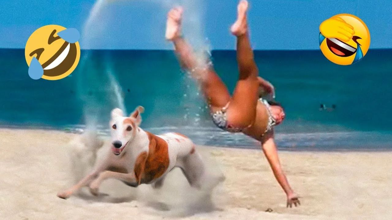 Я ржал до слез 😂 5 Минут смеха 2025 Смешные видео Лучaшие Лютые ПРИКОЛЫ Января! Подборка смотреть онлайн