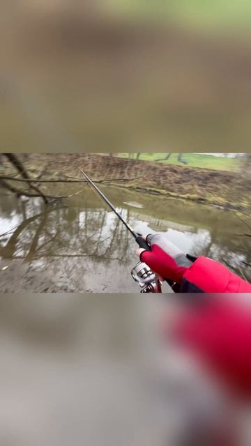 Четкое попадание в щуку и жадная поклевка