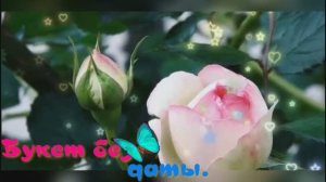 Букет без даты.