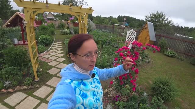 Видео привет с 6 соток. 2 часть. 3 июля 2021 год смотреть онлайн