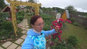 Видео привет с 6 соток. 2 часть. 3 июля 2021 год