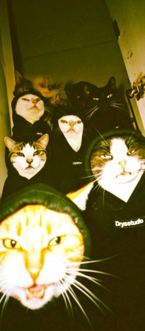 увидите вам по нравится