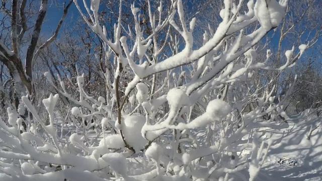 Зимняя сказка под музыку Александра Губанова