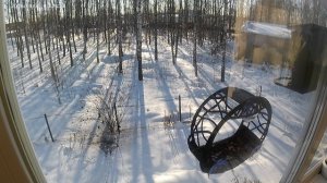 Синичий сортировочный центр