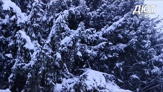 Вечерний поход в магазин 31 Января. смотреть онлайн