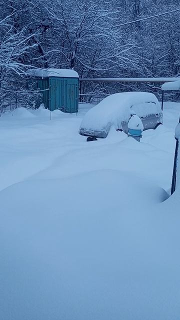 Зимой 31 января Прогулялись смотреть онлайн