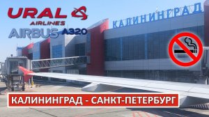 Уральские авиалинии: Калининград - Санкт-Петербург на Airbus A320