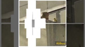 YouCut_20260131_021257675.mp4