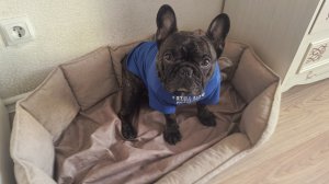 Краш принимает Теплый Душ после Морозной прогулки