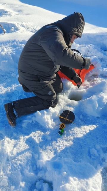 31-01-2026 смотреть онлайн