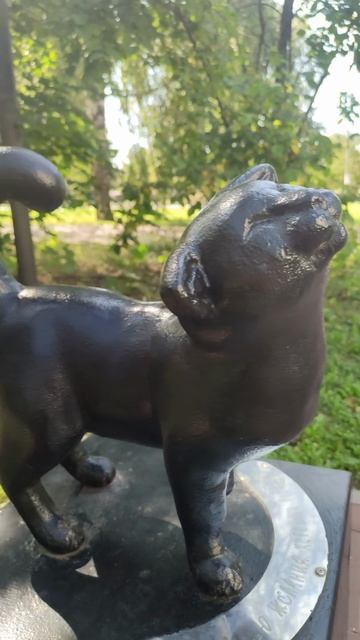 Погладь и желание сбудется смотреть онлайн