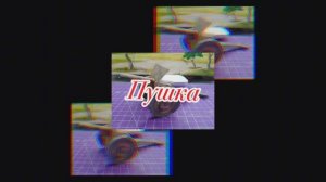 Пушка из бумаги своими руками
