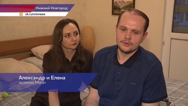 Собака Пальма нашла любящих хозяев смотреть онлайн