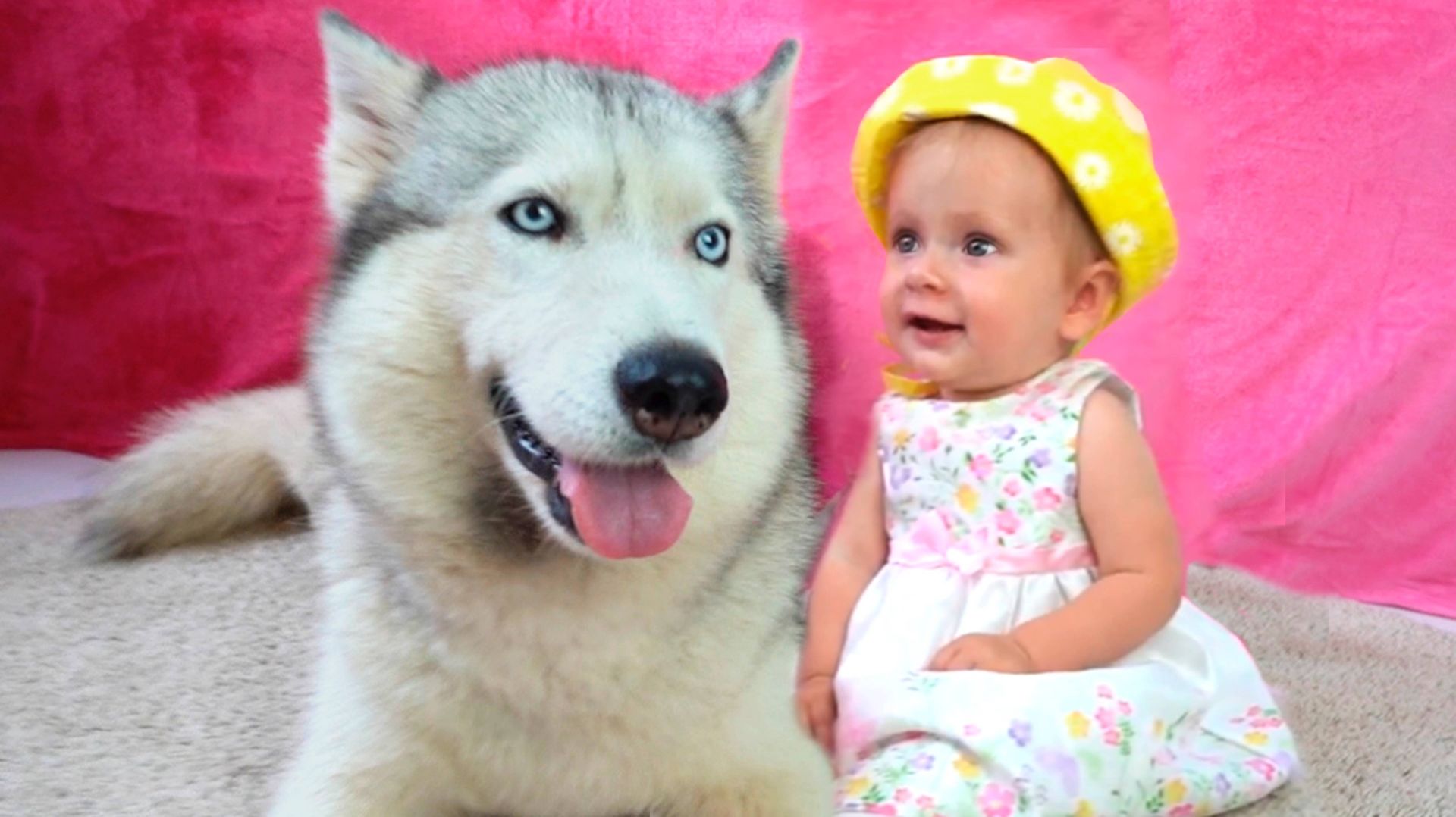 Бинго | Детские стишки и Песенки для детей+Детские сборники+Детские песенки смотреть онлайн