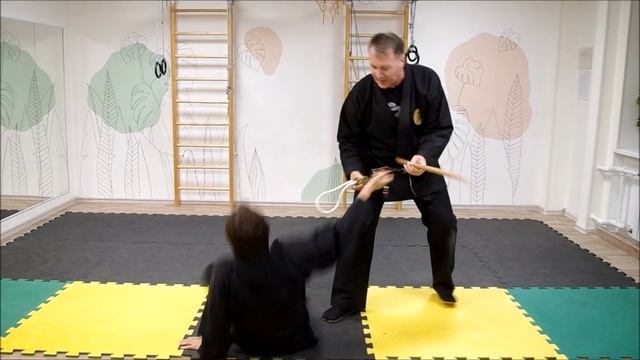 Будзинкан Санкт-Петербург Сибу Додзё, сихан Мирошкин Павел смотреть онлайн