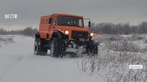 СТМ-39931 Россети