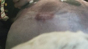 КО МНЕ ПРИШЛА ЛП! СПОЛЮ ЕЁ ЛИЦО НА 50 ПОДПИЩИКОВ