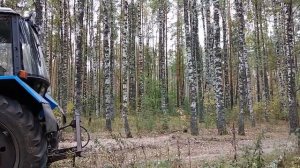 Страна березового ситца