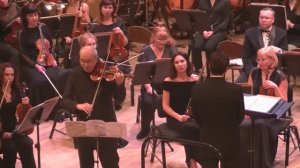 Мировые шедевры музыки для скрипки с оркестром. Солист Алексей Лундин.