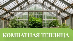 УРОЖАЙ УКРОПА