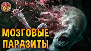 КРИПОВАЯ ХРЕНАТЕНЬ: МОЗГОВЫЕ ПАРАЗИТЫ