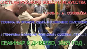 Техника РБИ на примере : УДАРА В СОЛНЕЧНОЕ СПЛЕТЕНИЕ ( работа с образом ) . Соловьёв Дивеево . 2025