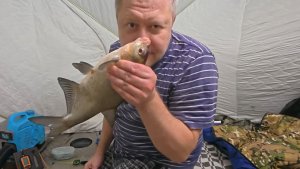 Рыбалка Рефтинский