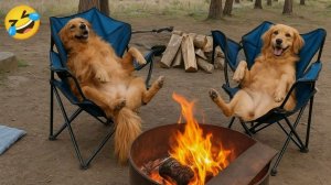 ВИДЕО ПРИКОЛЫ ЗАБАВНЫЕ МОМЕНТЫ С ЖИВОТНЫМИ, СНЯТЫЕ НА КАМЕРУ №1