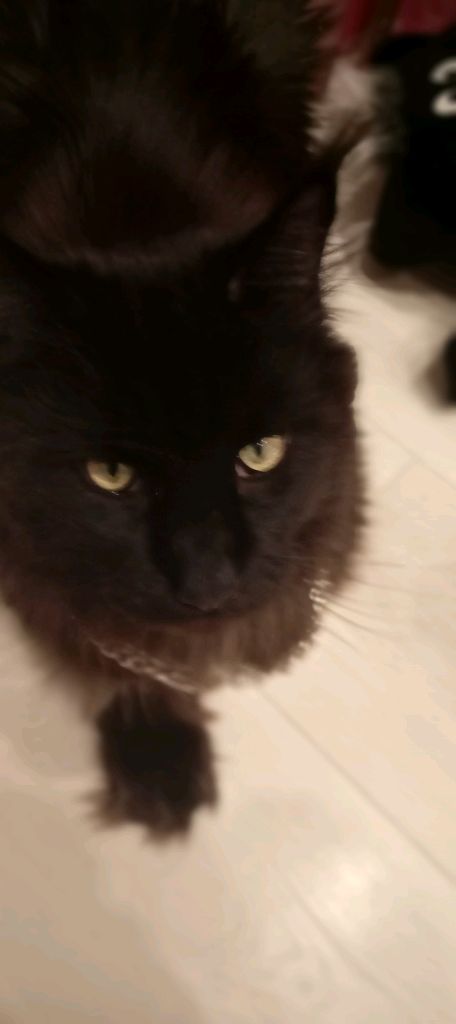 стрим 2 смотреть онлайн