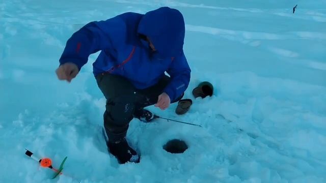 31.01.26 г. РК Волна. смотреть онлайн