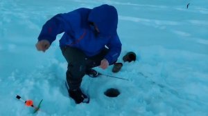 31.01.26 г. РК Волна.