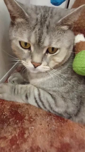 1000004871.mp4 смотреть онлайн