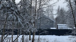 Один зимний день на даче. Январь 2026.