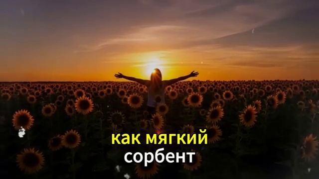 Здоровье 6. Поджелудочная железа. смотреть онлайн