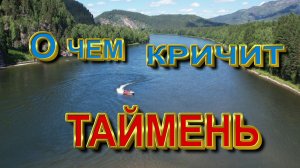О чем кричит ТАЙМЕНЬ