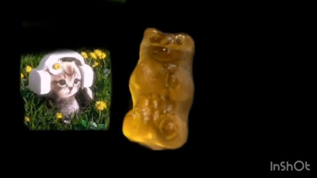 Вопрос ответ  пишите вопросы в коменты