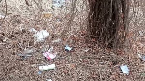 Многолетний свинарник в центре курорта-Кисловодска! Ул. Горького-32. Ужасы нашего городка!31.01.2026