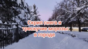 Морозы трескучие и скрип снега