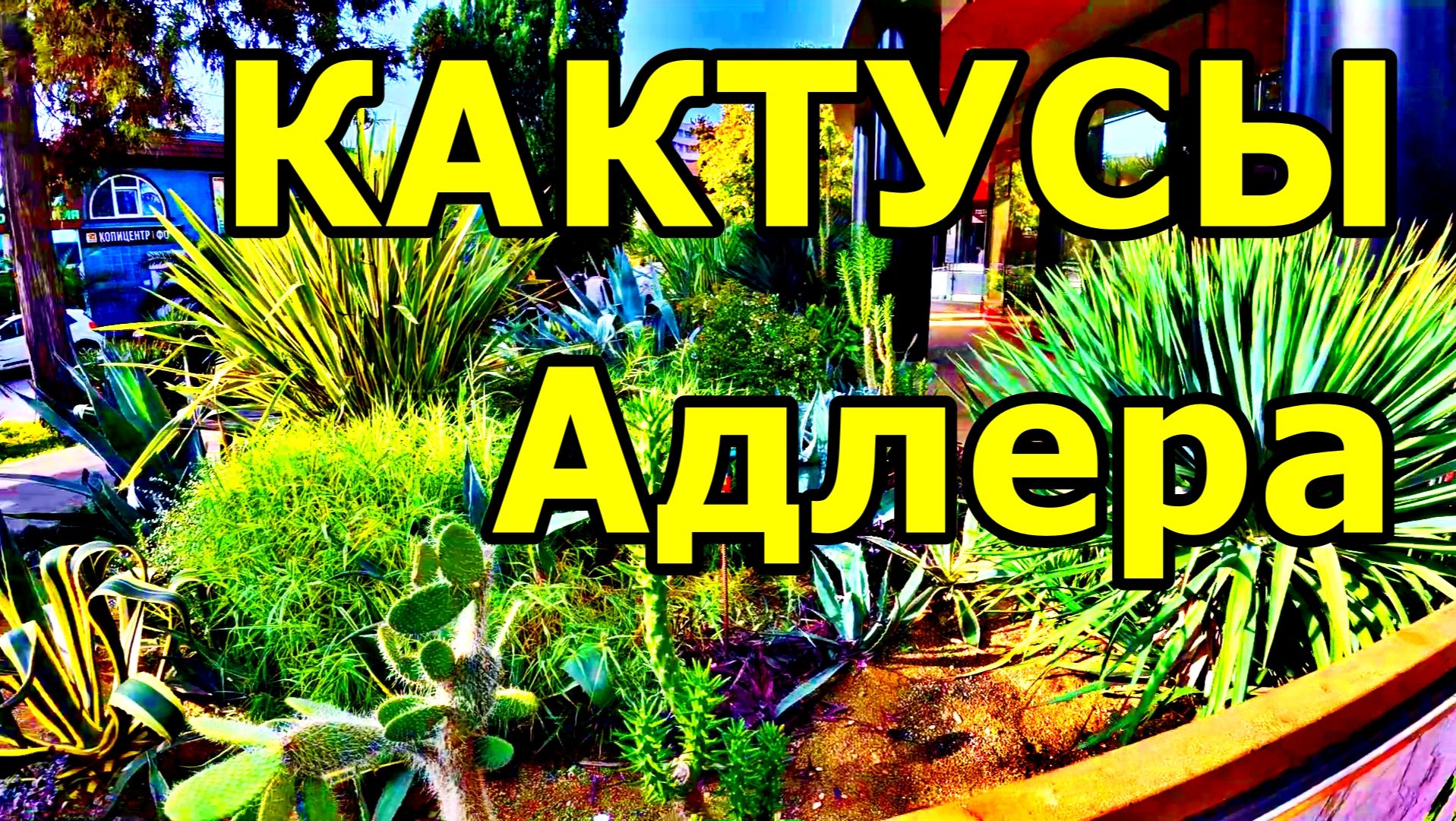 ПРОГУЛКА ПО ДЕМОКРАТИЧЕСКОЙ: ИЗ БАНКА — В ГАСТРОНОМИЧЕСКИЙ РАЙ! АДЛЕР. 23 НОЯБРЯ 2025 ГОДА. смотреть онлайн