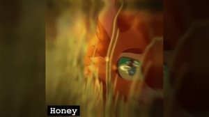 5 секунд, но мне нравится