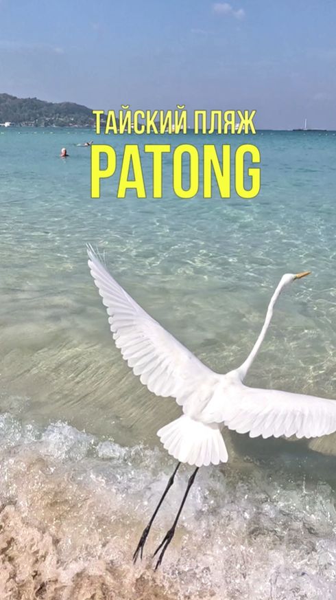 Популярный Patong Beach 🏖️ Лучшие пляжи Таиланда 🦐 Путешествие в Таиланд #outhome #пхукет #патонг Популярный Patong Beach 🏖️ Лучшие пляжи Таиланда 🦐 Путешествие в Таиланд #outhome #пхукет #патонг