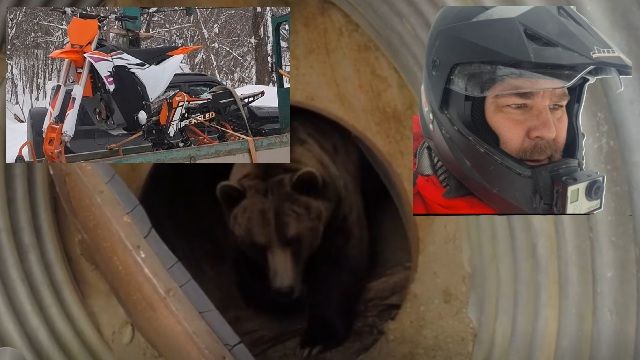 Пробую пересесть на сноубайк. Нашёл в лесу берлогу? Щелкунчик. П.И. Чайковский