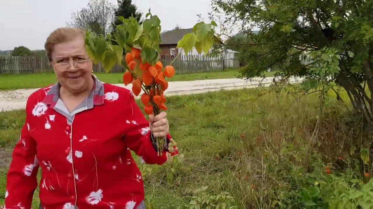 ВЛОГ/В деревне всё спокойно/Собачка в порядке