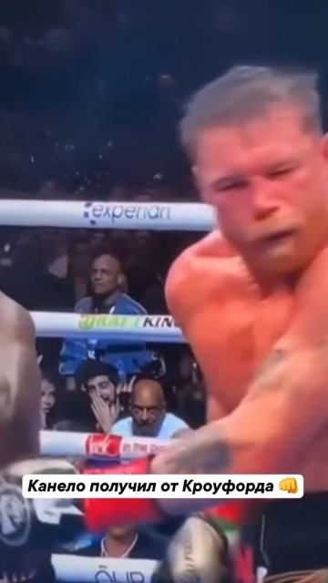 Канело вернется, а вот Кроуфорд 🤯 смотреть онлайн