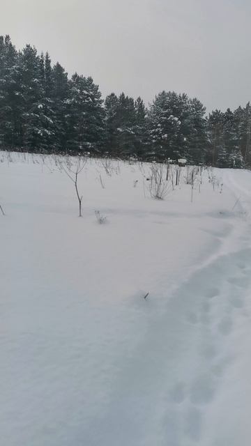 Босиком по сугробам