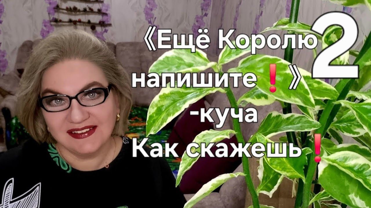 2 часть. 《Ещё Королю напишите❗️》- куча. Как скажешь❗️ смотреть онлайн