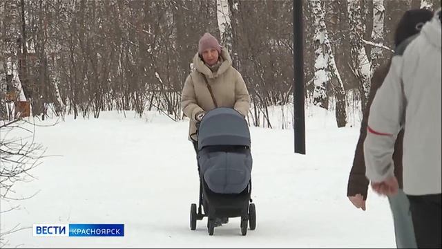 Вести. Красноярск от 31.01.2026 смотреть онлайн