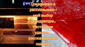 30-01-2026 Мой выбор дегидратора.Пастила не удалась,расскажу какие ошибки допустила.