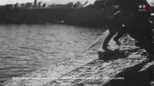 ДНЕВНИКИ БЕСКОЗЫРКИ